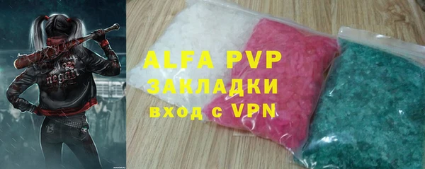прущие грибы Каменногорск