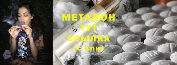 прущие грибы Каменногорск