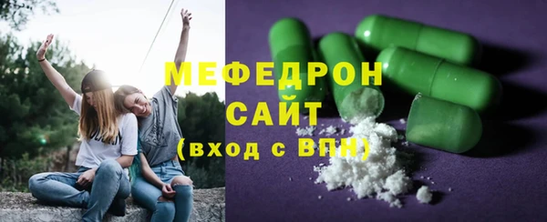 гидра Каменка