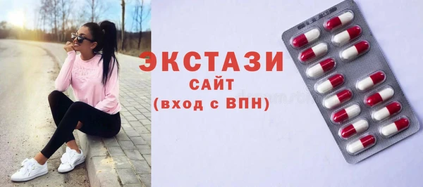 гидра Каменка