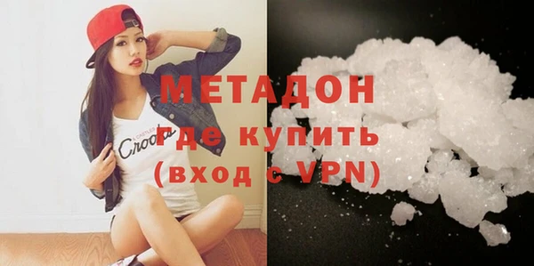 прущие грибы Каменногорск