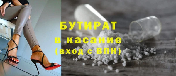 гидра Каменка