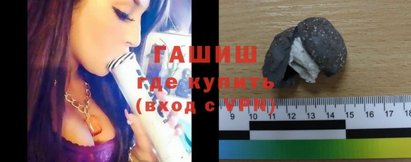 прущие грибы Каменногорск