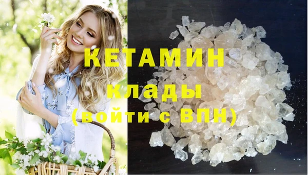 прущие грибы Каменногорск