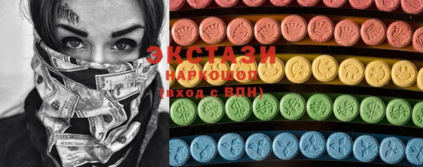 гидра Каменка