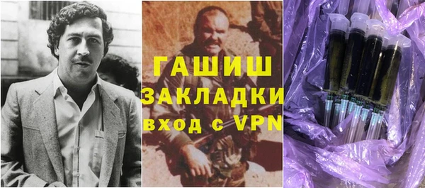 прущие грибы Каменногорск