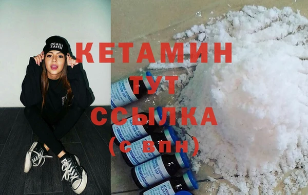 прущие грибы Каменногорск