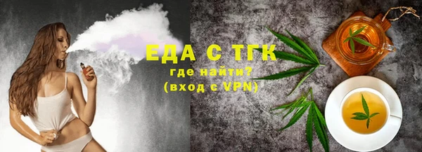 гидра Каменка