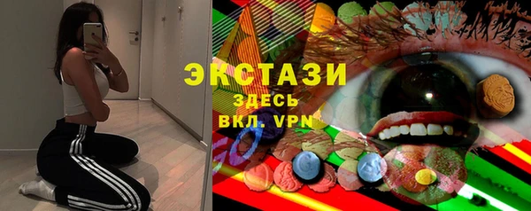 гидра Каменка