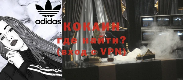прущие грибы Каменногорск