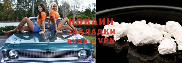 гидра Каменка